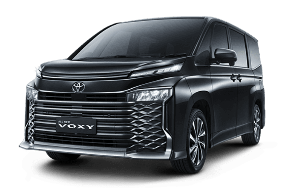 Voxy